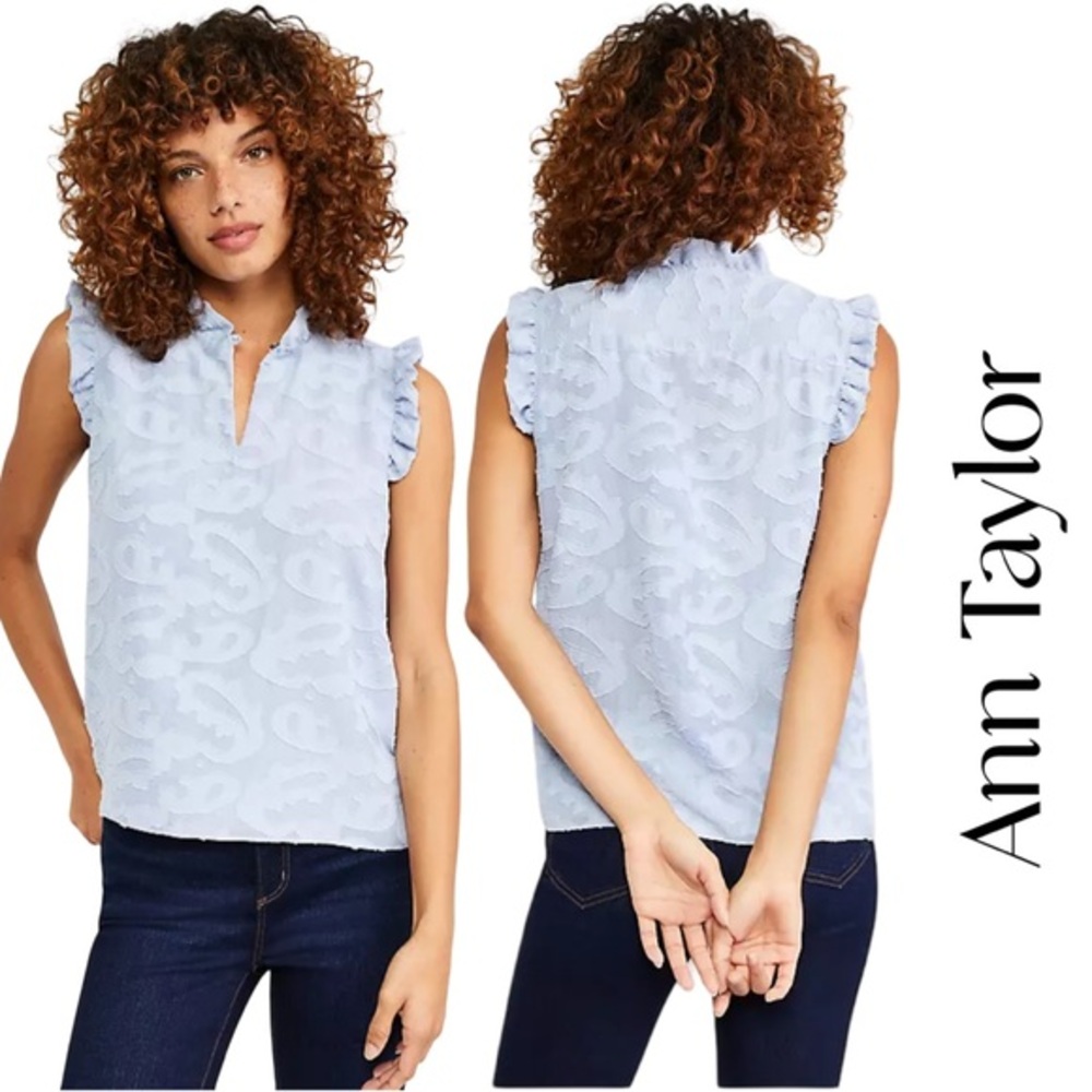 Ann Taylor Paisley Light Blue Ruffle Sleeve Top Sz S EUC